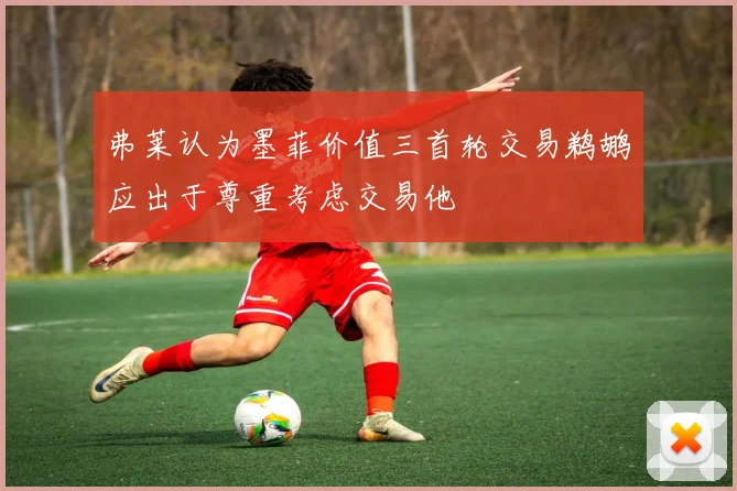弗莱认为墨菲价值三首轮交易鹈鹕应出于尊重考虑交易他
